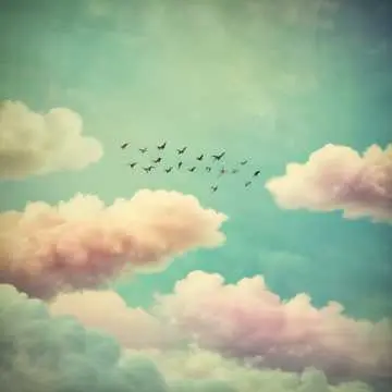 Студия Владимира Приорова