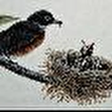 Эльбель-Фельбель