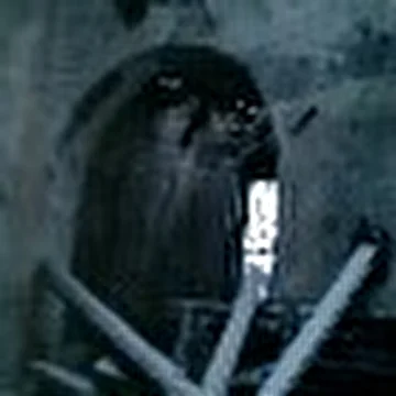 Tuoner
