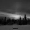 Грипсы a.k.a чипсы