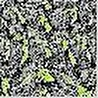 Graftio