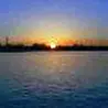 CALAMUS