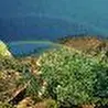 Yuran