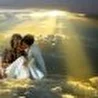 Песни на стихи Игоря Шап