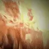 Brokenreflection