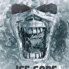 Ice core