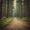Михаил Левин