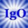 IgO