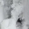POLOVEN 