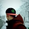 Алекс