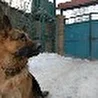 На слова С.Иванова