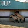 Pechen-group