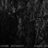 Shine Lethargy