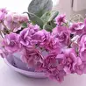 Людмила  Кичигина _  Ангел - Online. (Музыкальная группа..)⭐⭐⭐⭐⭐