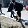 Константин Елисеев