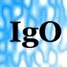 IgO