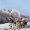 Сергей и Евгения Марасановы