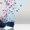 uzvoice