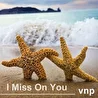 VNP