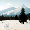Михайла