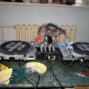 Dj Alex Goldhouse