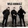 WILD ANIMALS