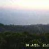 алекс гриф