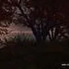 INSOMNIA Project