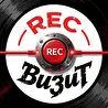 RecВизит