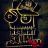 NE4MAT_SQUAD