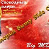 "СВОБОДНЫЙ RAPper"