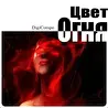 Вячеслав Песнин DigiCompo