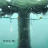 NEIROCEAN