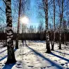 Алина Белочка
