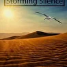 Storming Silence