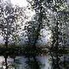 Electronic Rain Project