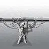 NEGATIVE PROJECT