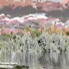 Причина Смерти