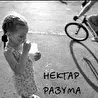Нектар Разума