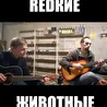 redкие животные