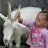 Константин Куклин