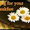 Spring For Your Breakfast