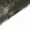 Повар Ave