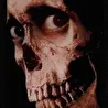 D.J. Toxin