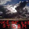 Voice of the Storm