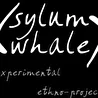 sylum whale