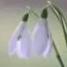 Александр Иванихин