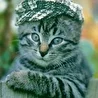Ваня Солнцев