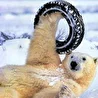 Сотрудничество