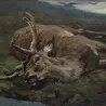 Михаил Левин